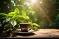 Steaming white cup of fresh coffee on a wooden table on tropical vegetation background. Sunny summer day at coffee plantation