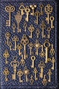 Steampunk old vintage metal keys background on leather