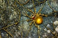 Steampunk panel with the image of the golden spider in a web