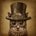 Steampunk Grunge Cat Royalty Free Stock Photo