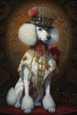 Steampunk White Big Royal Poodle Dog. AI generated Illustration