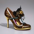 steampunk woman footwear, high heel shoe, generative AI illustration, these depiction is fictitious and generated,