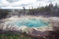 Steamy Emerald Spring in Yellowstone National Park, in the Norris Geyser basin area Royalty Free Stock Photo