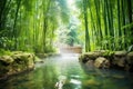 steamy hot spring in a dense bamboo forest