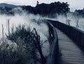 STEAMY HOT SPRING PARK PATH, ROTORUA NEW ZEALAND