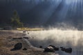 Steamy lake in the forest Royalty Free Stock Photo