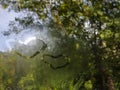 Steamy window with two heart drawings