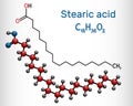 Stearic acid,  octadecanoic, saturated fatty acid molecule. Structural chemical formula and molecule model Royalty Free Stock Photo