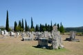 Stecak, monumental medieval tombstones. UNESCO World Heritage Site. Stecci, Radimlja, Stolac, Bosnia and Herzegovina.
