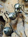 Steel ants