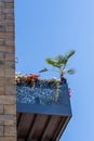 Steel balcony with flowers and palm