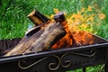 Steel barbecue with burning wooden logs close-up