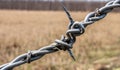 Steel barbed wire fence at field. Generated Ai Royalty Free Stock Photo
