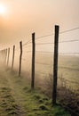 Steel barbed wire fence at field. Generated Ai Royalty Free Stock Photo