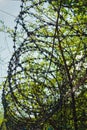 Steel barbed wire on fence prison background