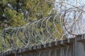 Steel barbed wire on a gray concrete fence against the background of tree branches