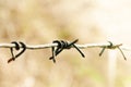 Steel barbed wires and blurry background in the field. Human rights and social justice abstract concept with blurry barbed wire