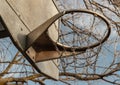 Steel basketball backboard with the hoop metal ring and steel chain net against branches and sky Royalty Free Stock Photo