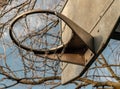 Steel basketball backboard with the hoop metal ring and steel chain net against branches and sky Royalty Free Stock Photo