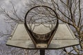 Steel basketball backboard with the hoop metal ring and steel chain net against branches and sky seen from below Royalty Free Stock Photo