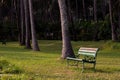 A steel bench in a green grass field. Empty chair in a park. Focus set of chair grill