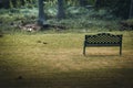 A steel bench in a green grass field. Empty chair in a park