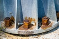 Steel bolts and rusty steel nut on gray steel plate of lamp post. Structural Detail of a lighting post base Royalty Free Stock Photo