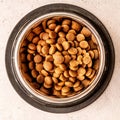 Steel bowl full of dog food on marble background flat lay top view Royalty Free Stock Photo