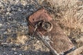 Steel Bracket with cement covered chain sitting in the Arizona desert