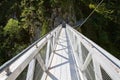 Steel Bridge crossing the Leutasch Gorge, Germany