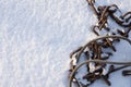 Steel wire rope and chain in snow Royalty Free Stock Photo