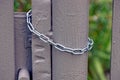 Steel chain hanging on a gray iron gate Royalty Free Stock Photo