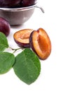 Steel colander with ripe plums, whole and half ripe plums with leaf isolated on a white background