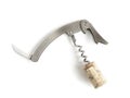 Steel corkscrew Royalty Free Stock Photo