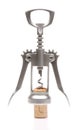 Steel corkscrew isolated on white Royalty Free Stock Photo