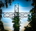 Steel cross with plants growing on blue evening sky background Royalty Free Stock Photo