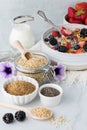 Steel cut oats hot cereal served with berries, seeds, walnuts and milk ready for eating. Royalty Free Stock Photo