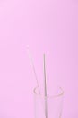 Steel Drinking Straw and Cleaning Brush in Glass