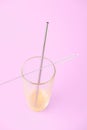 Steel Drinking Straw and Cleaning Brush in Glass