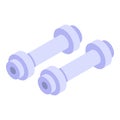 Steel dumbbells icon, isometric style