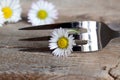Steel Fork and flower Royalty Free Stock Photo