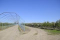 Steel gazebo for grapes over the road in the apple orchard. Fruit garden Royalty Free Stock Photo