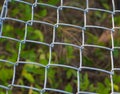 Steel grating  backgrounds Royalty Free Stock Photo