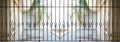 Steel grating window on house veranda with outside view for security and beautiful concept,panorama view Royalty Free Stock Photo