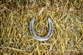 Letter U Steel Horseshoe on Straw