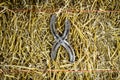 Letter X Steel Horseshoe on Straw