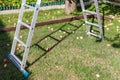 Steel ladder and fallen apples under tree, close up view