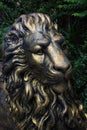 Steel lion sculpture of dusit zoo Royalty Free Stock Photo