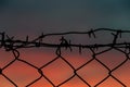 Steel mesh barbed wire fence sunset Royalty Free Stock Photo