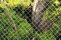 Steel mesh blocked trees, rocks and natural Royalty Free Stock Photo